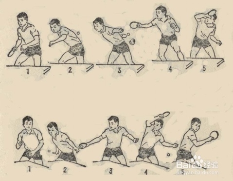 乒乓球加转前冲弧圈球技术动作