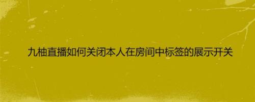 九柚直播如何关闭本人在房间中标签的展示开关