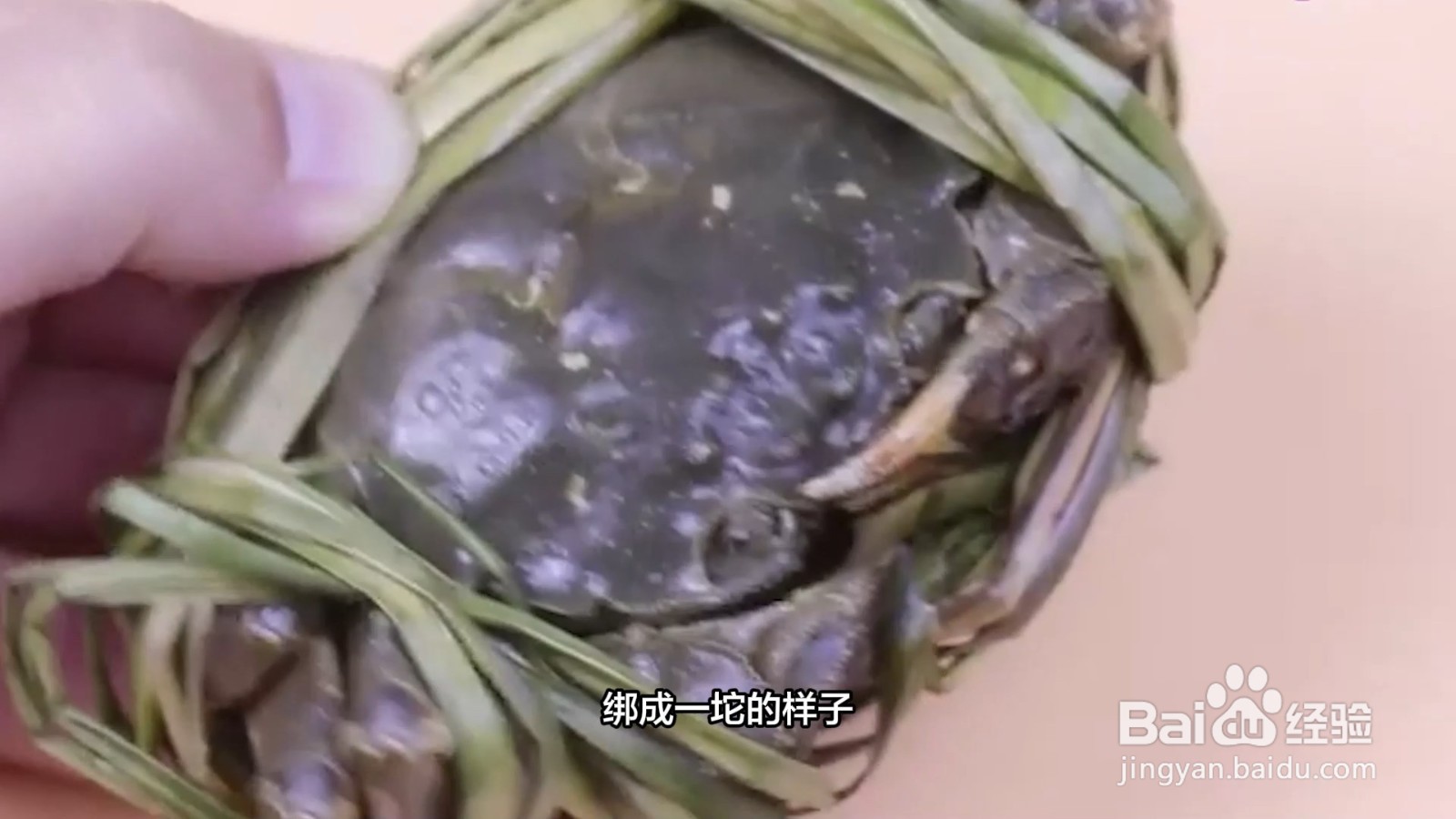 蟹怎么存放保持新鲜