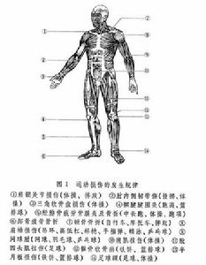 肌肉拉伤的原因是什么
