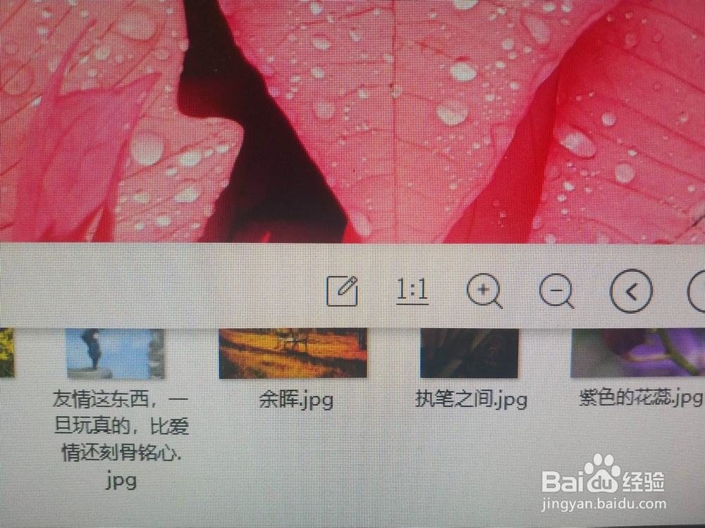 怎样用WPS图片截取一寸证件照
