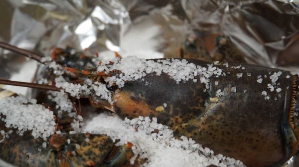 盐焗波士顿龙虾