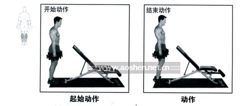 怎样用哑铃锻炼腿部肌肉