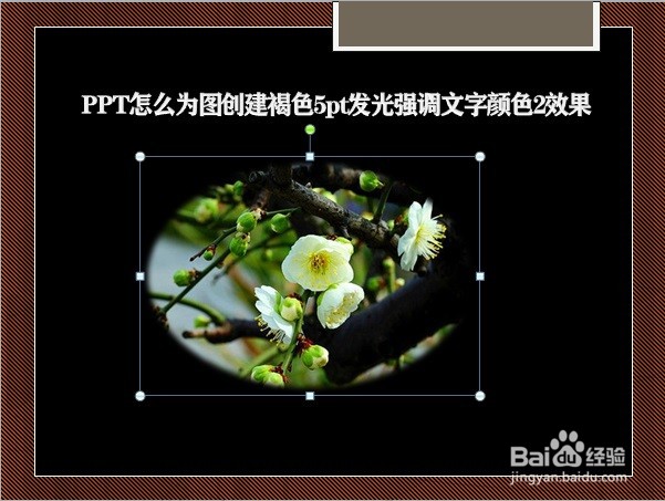 PPT怎么为图创建褐色5pt发光强调文字颜色2效果