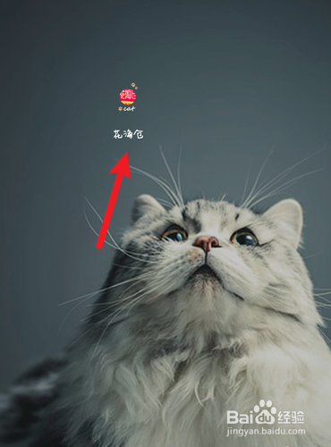 花海仓怎么查找花生米的数量