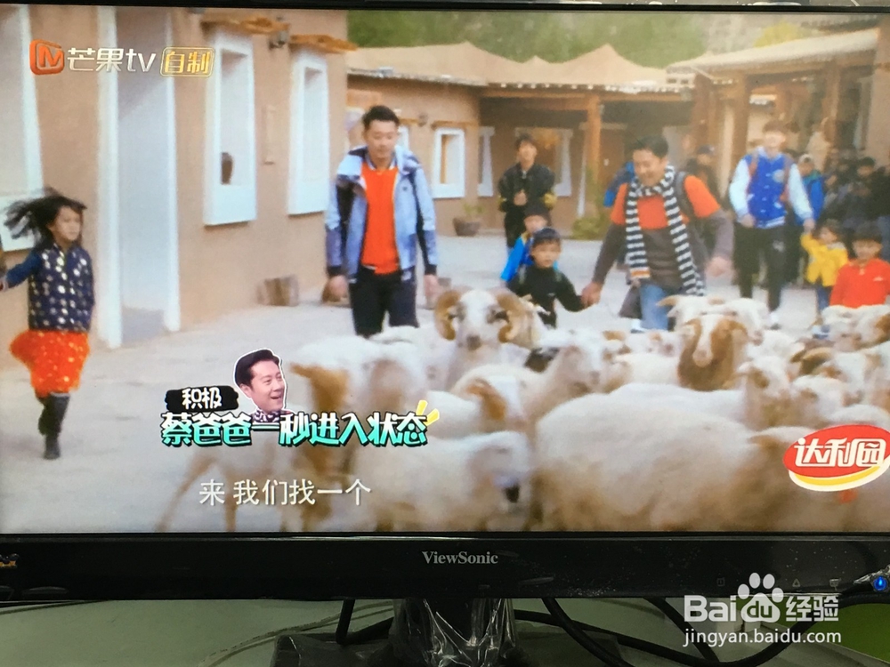 爸爸去哪儿第四季在电视上怎么看