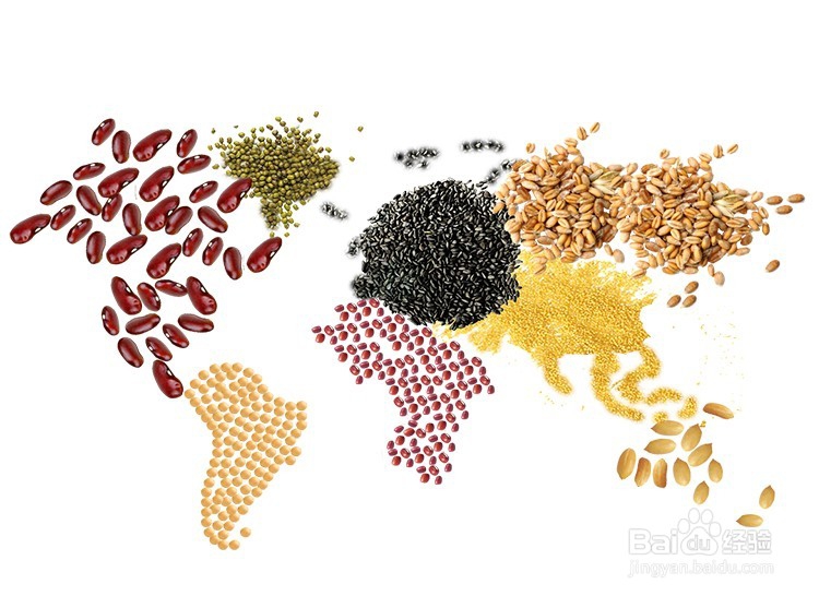 康达 九州开店的优势及支持