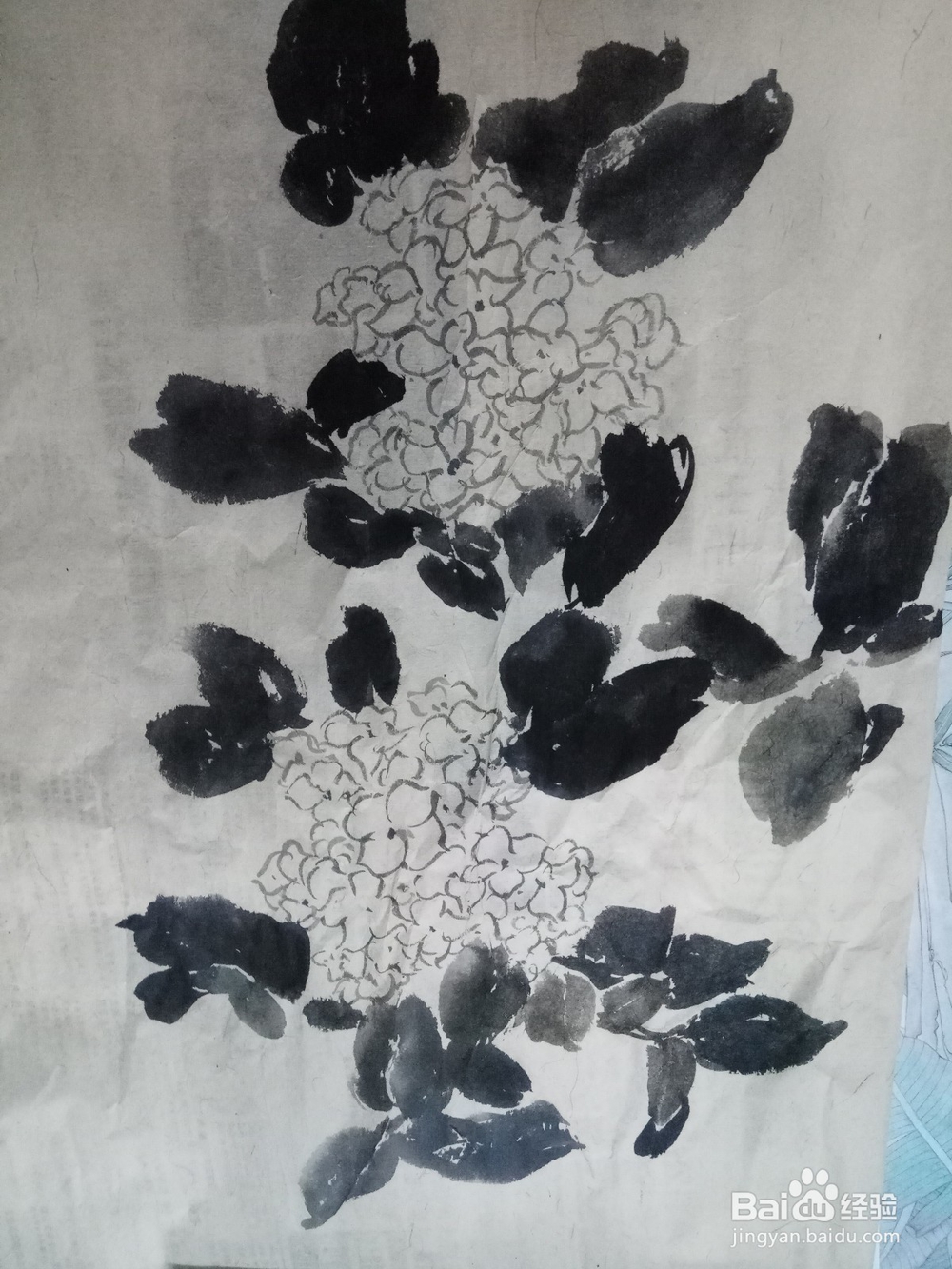 绣球花的画法及步骤