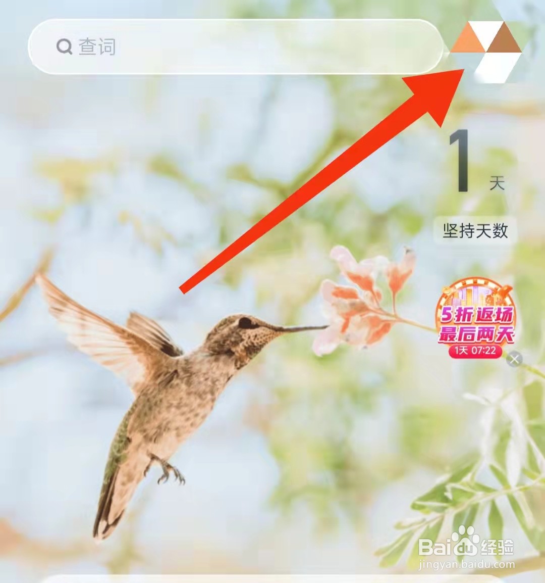 万词王APP怎么查看版本号