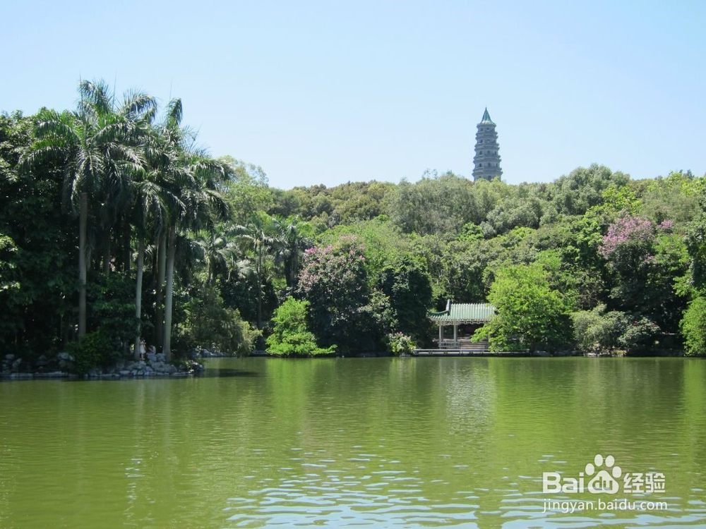 如何更开心的旅游