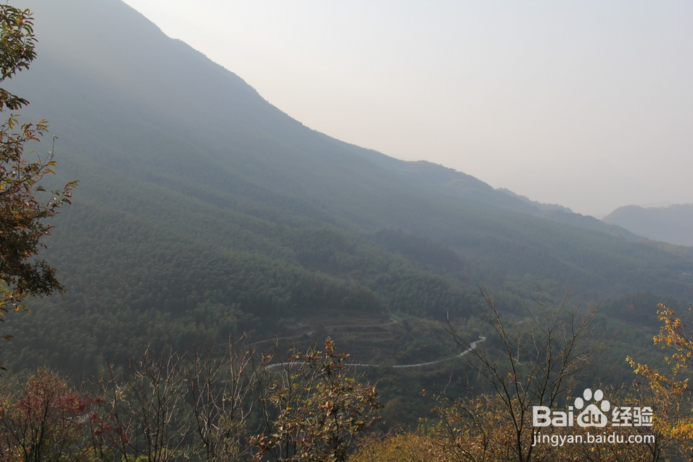 皖南川藏线、国道S218线路4天自驾游