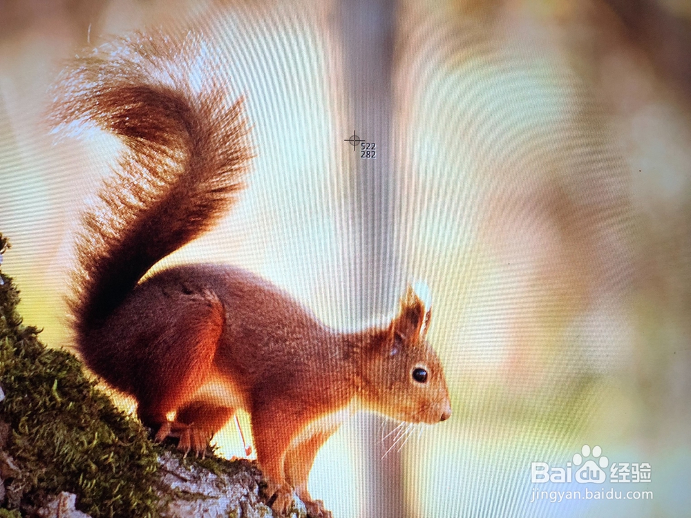 苹果电脑如何截屏
