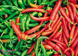 痄腮不能吃什么