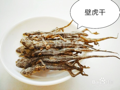 这样吃壁虎不仅不会中毒对身体还有大益