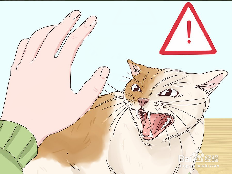 教你3种方法快速撸猫