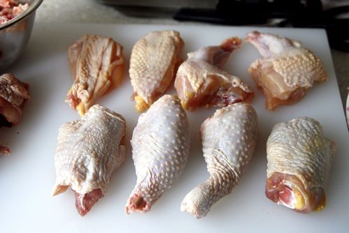 蓝带鸡解刨作业流程分享