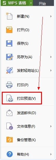 EXCEL如何打印出表格的形式