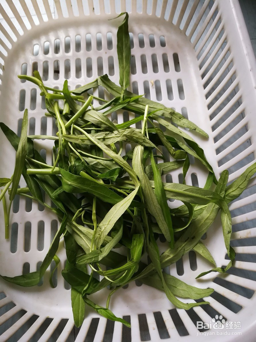 我家的私房菜-人人喜欢-清炒空心菜叶