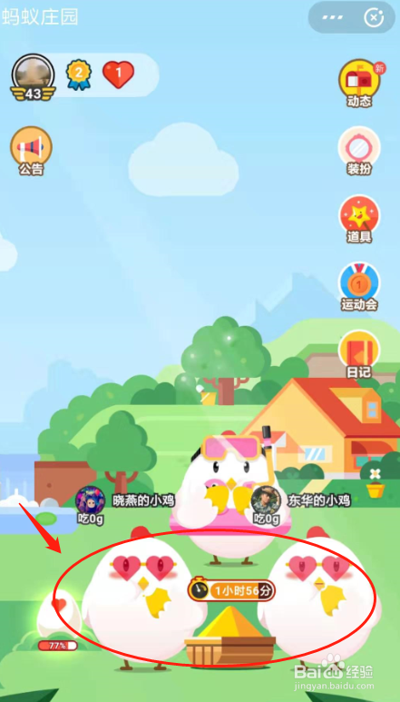 支付宝蚂蚁庄园快速养鸡攻略——1天两个蛋！