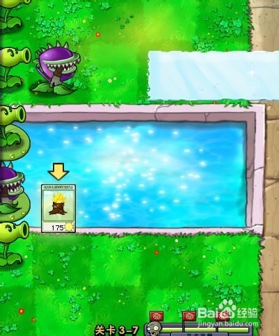 植物大战僵尸快速通关游戏攻略：[44]3-7.2