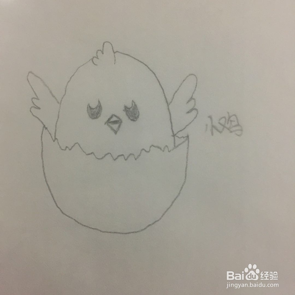 画小鸡的方法