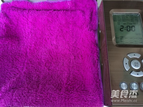 椰蓉手撕包—面包机版