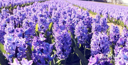 现代人养生一些小经验