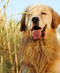 你是有强迫症的人吗