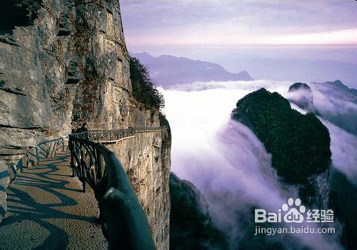 张家界自助游路线