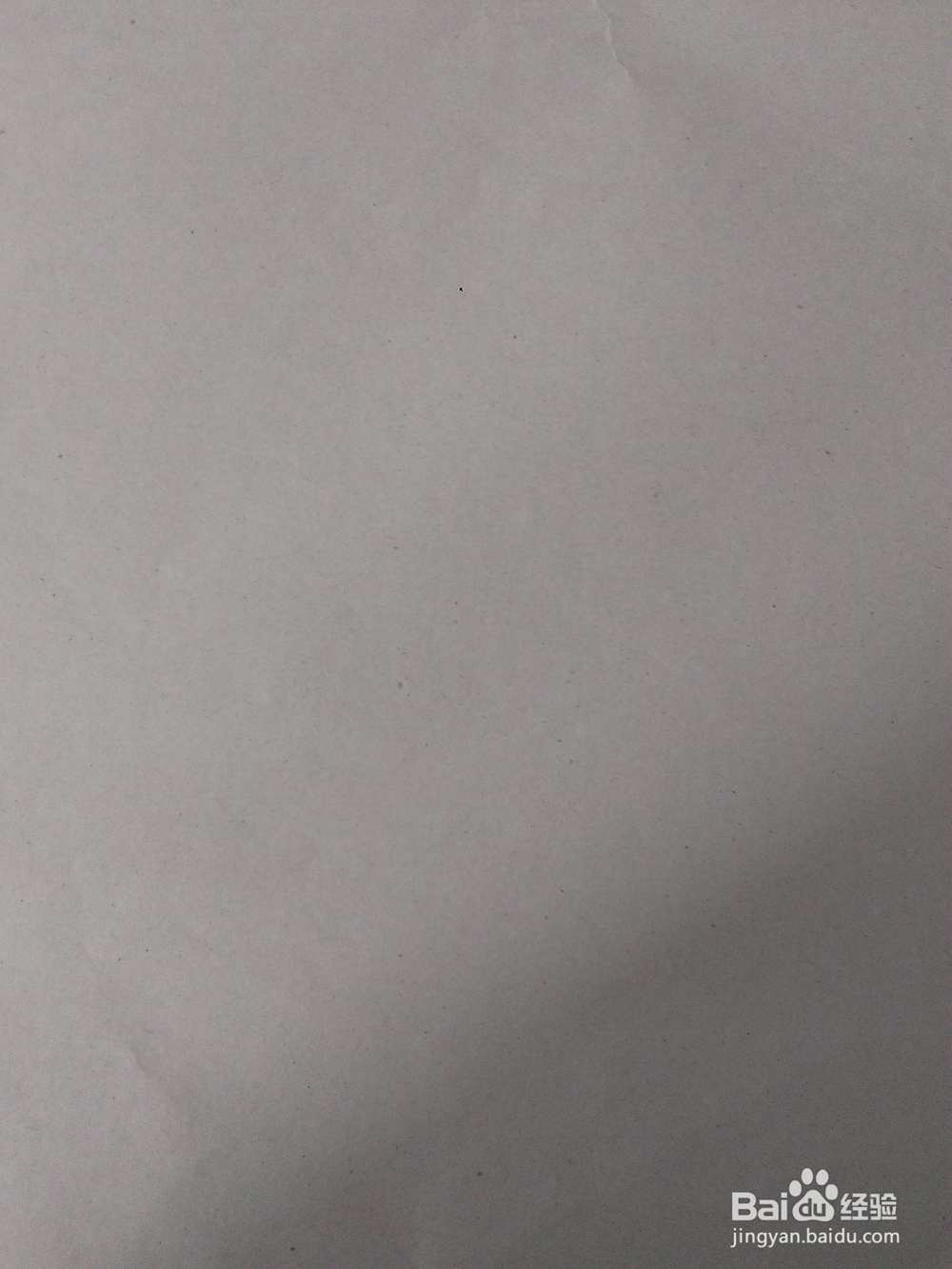 用字母B能画一个什么小动物