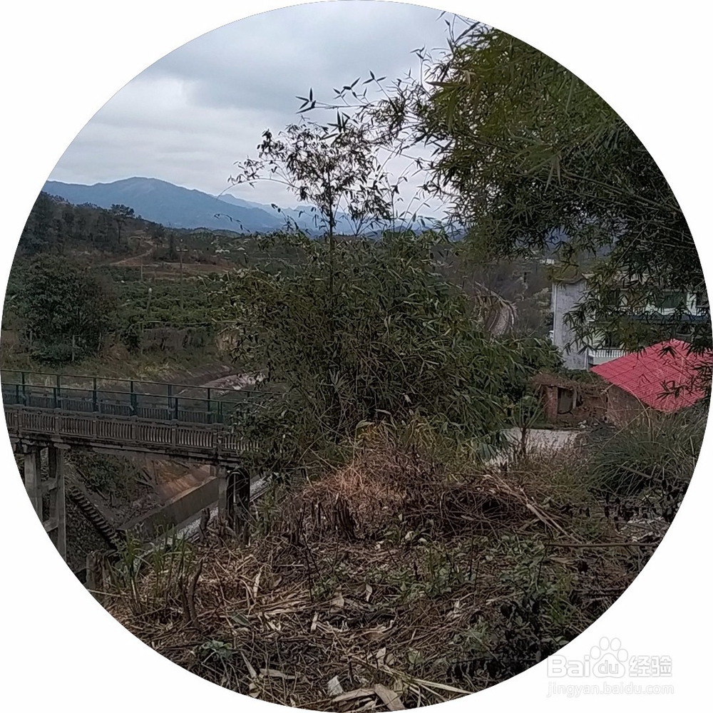 高边坡最上方的清理要点