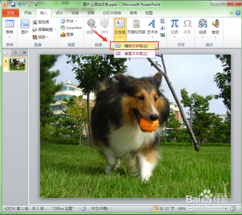 如何在幻灯片的图片中添加文字