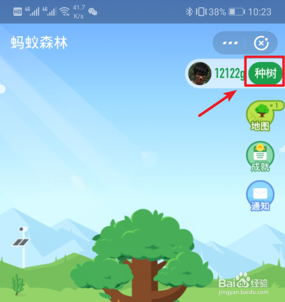 蚂蚁森林里需要能量最多的树种是什么?