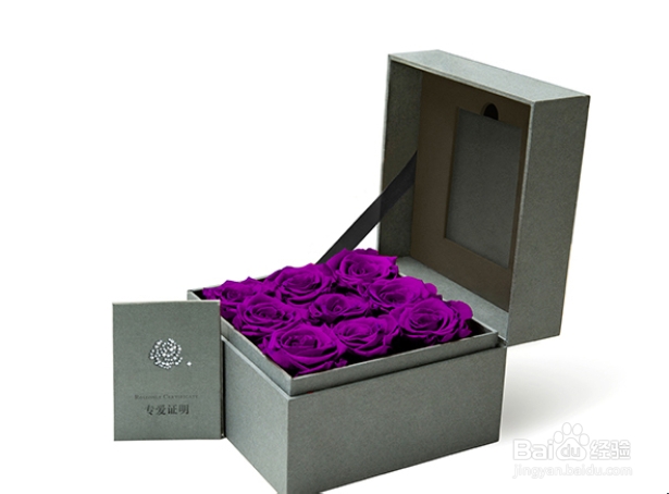 紫玫瑰哪里有卖