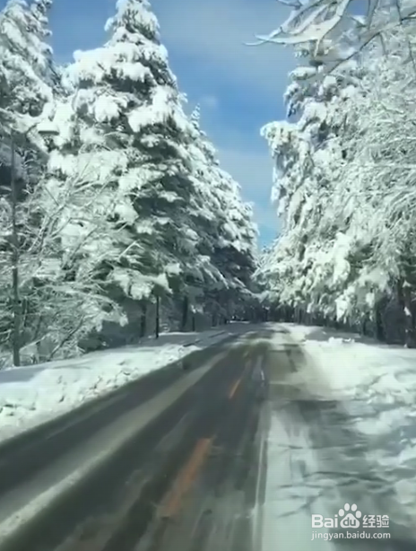 冬天,在国内应该去哪些地方看雪景?