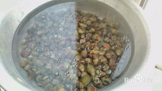 麻辣田螺的做法