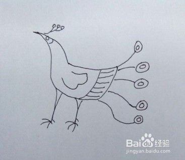 孔雀画法教程（2）怎么画孔雀，如何画孔雀？