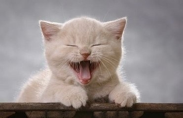 怎么应对疲劳引起的眼皮发沉？