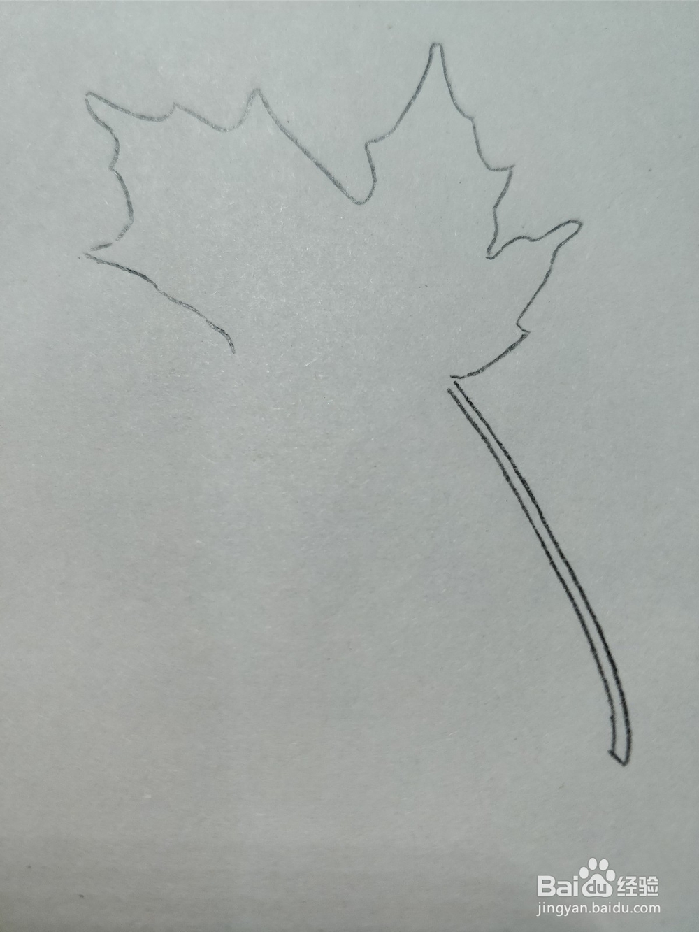 简笔画枫叶怎么画