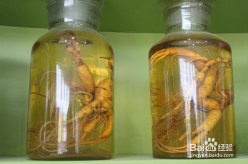 人参养肾的正确用法经验分享