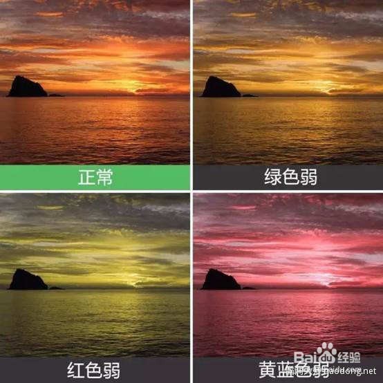 色弱如何在电脑里看到色觉正常人眼中的世界