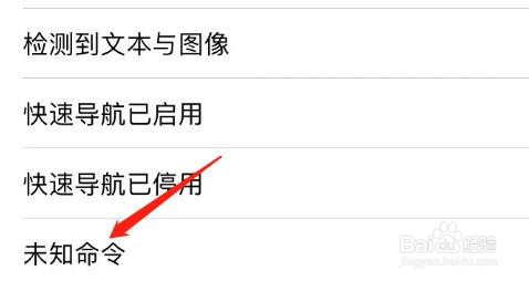 怎么查看iPhone旁白中的未知命令