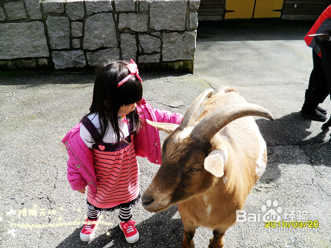 拾海的孩子&亲亲小动物(组图)