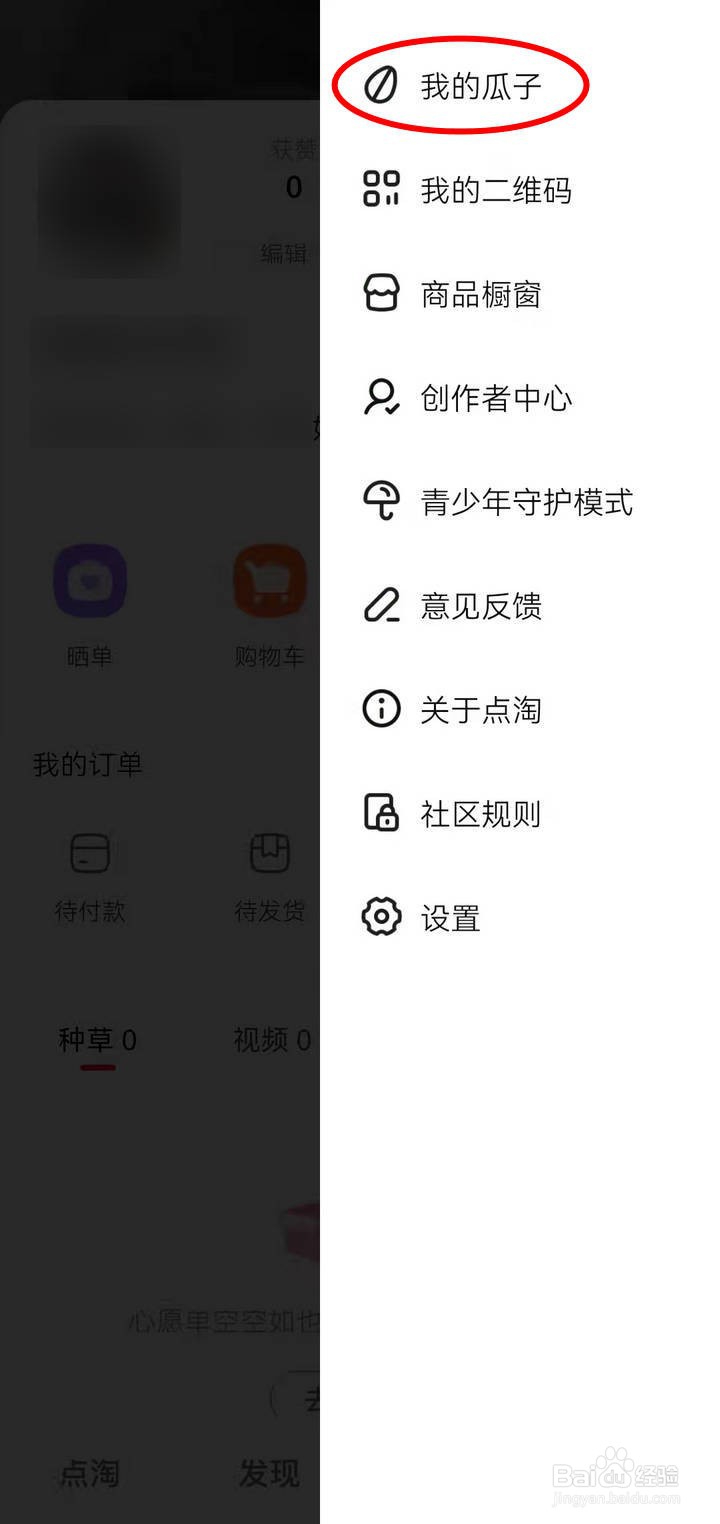 点淘应用中的瓜子币如何充值