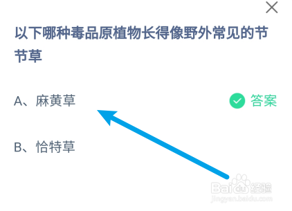 哪种毒品原植物长得像野外节节草?蚂蚁庄园6.26