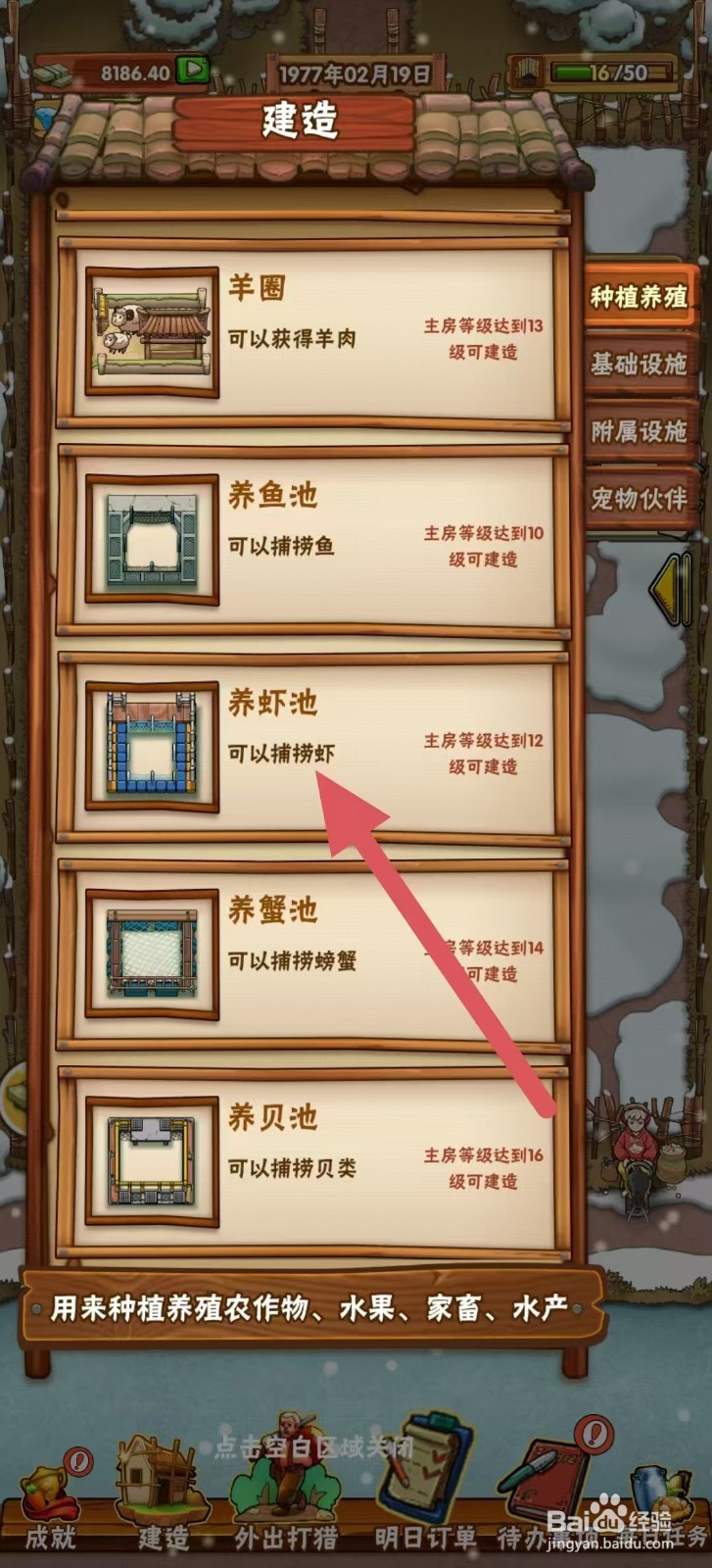 外婆的小农院怎样建造【养虾池】