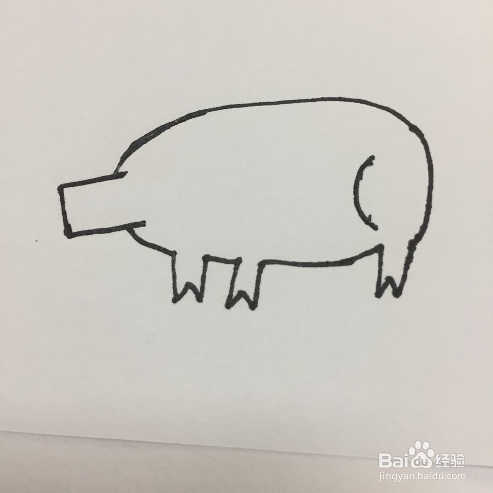 猪的简单画法