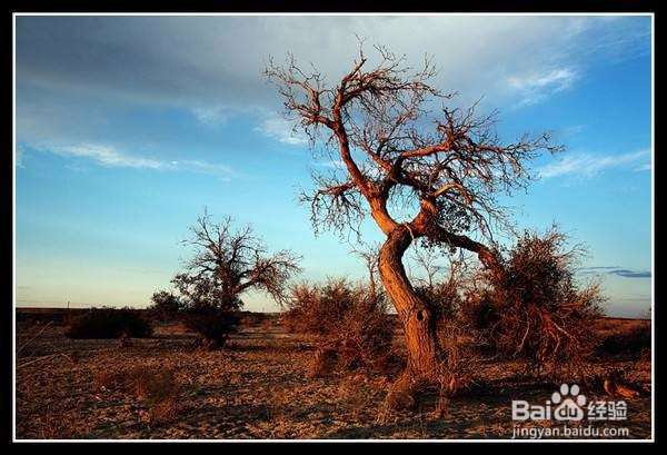 贫穷带给人的积极影响