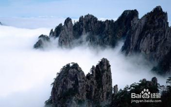 驾考科二如何一次通过?