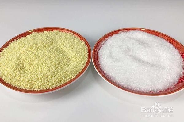 孕妇不能吃哪些实物